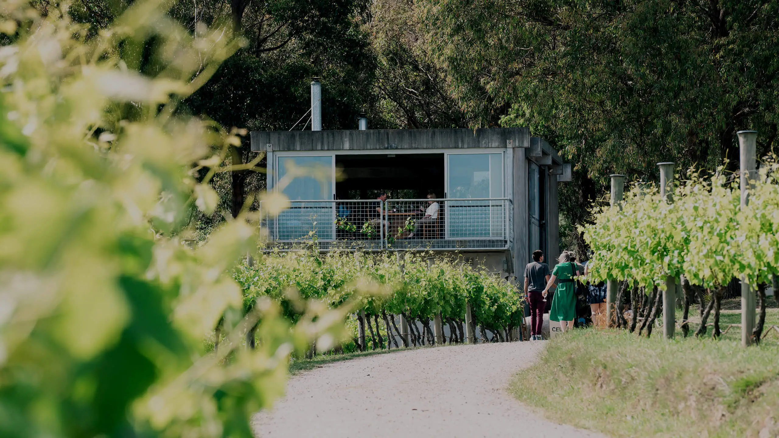 Get The Best Winery in Mount Macedon